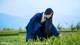 A woman in a blue kimono kneeling in a field of green grass.