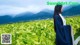 A woman standing in a field of tobacco plants.