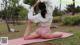 A woman in a white sweatshirt and pink shorts doing yoga.