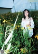 A woman standing in a field of yellow flowers holding an umbrella.