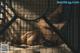 A woman laying on top of a bed in a cage.